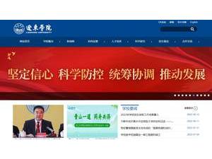 辽东学院's Website Screenshot