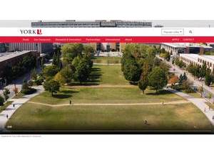York University's Website Screenshot