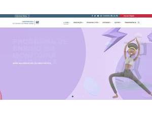 Minas Gerais State University's Website Screenshot