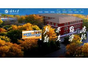 宁夏大学's Website Screenshot