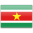 Surinamese higher education-related organizations