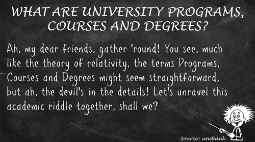 What are University Programs, Courses and Degrees?