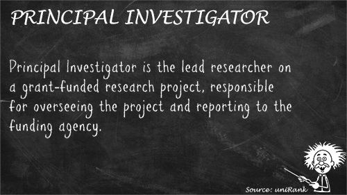 Principal Investigator definition