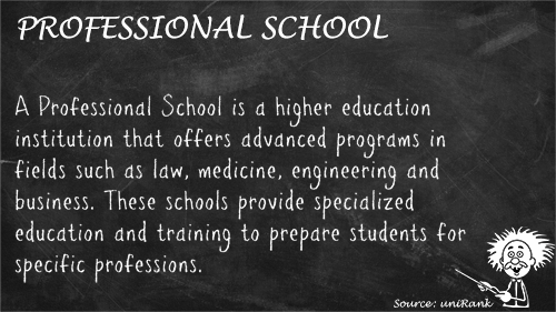 Professional School definition