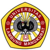 ULM University at ulm.ac.id Official Logo/Seal