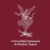 Universidad Autónoma de Piedras Negras's Official Logo/Seal