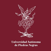 Autonomous University of Piedras Negras's Official Logo/Seal