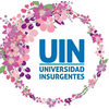 Universidad Insurgentes S.C.'s Official Logo/Seal