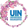 Insurgentes University's Official Logo/Seal