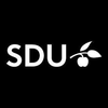 University of Southern Denmark's Official Logo/Seal