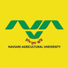 NAU University at nau.in Official Logo/Seal