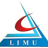 Libyan International University's Official Logo/Seal