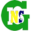 INSG University at insggabon.com Official Logo/Seal