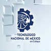 TecNM Celaya University at celaya.tecnm.mx Official Logo/Seal