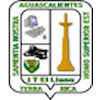 Instituto Tecnológico de El Llano Aguascalientes's Official Logo/Seal