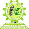 Technological Institute of the Olmec Region's Official Logo/Seal