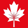 Canadian University of Dubai's Official Logo/Seal