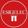 ESIGELEC University at esigelec.fr Official Logo/Seal