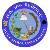 Bule Hora University's Official Logo/Seal