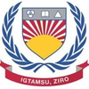 Indira Gandhi Technological and Medical Sciences University's Official Logo/Seal
