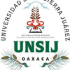 UNSIJ University at unsij.edu.mx Official Logo/Seal