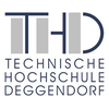 Technische Hochschule Deggendorf's Official Logo/Seal