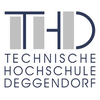 Deggendorf Institute of Technology's Official Logo/Seal