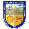 National University Micaela Bastidas of Apurimac's Official Logo/Seal
