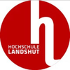 HS Landshut University at haw-landshut.de Official Logo/Seal