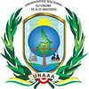 Universidad Nacional Autónoma de Alto Amazonas's Official Logo/Seal