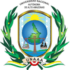 National Autonomous University of Alto Amazonas's Official Logo/Seal