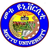 Mattu University's Official Logo/Seal