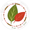 Agricultural University of Athens's Official Logo/Seal