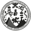 Universidad de San Carlos de Guatemala's Official Logo/Seal
