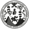 University of San Carlos of Guatemala's Official Logo/Seal