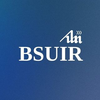 BSUIR University at bsuir.by Official Logo/Seal