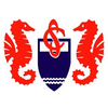 Universidade Santa Cecília's Official Logo/Seal
