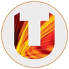 Teesside University's Official Logo/Seal