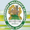 UAP University at uap.edu.bo Official Logo/Seal