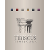 Universitatea Tibiscus din Timisoara's Official Logo/Seal