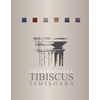 TIBISCUS University at tibiscus.ro Official Logo/Seal