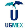 UGM University at ugmex.edu.mx Official Logo/Seal