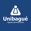 Universidad de Ibagué's Official Logo/Seal