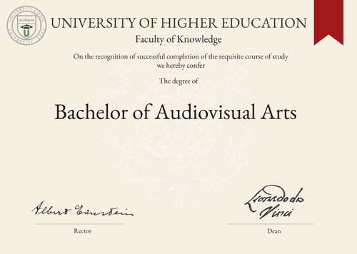 Bachelor of Audiovisual Arts (BAA) program/course/degree certificate example