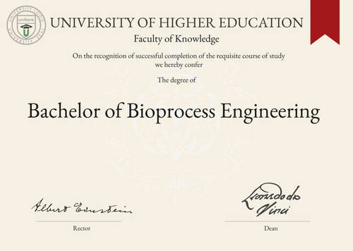 Bachelor of Bioprocess Engineering (B.B.E.) program/course/degree certificate example