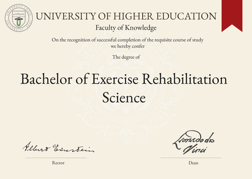Bachelor of Exercise Rehabilitation Science (B.E.R.S.) program/course/degree certificate example