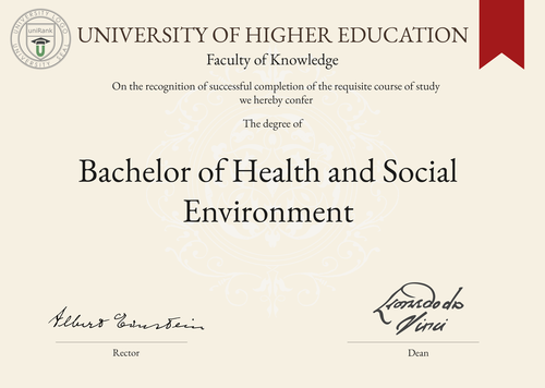 Bachelor of Health and Social Environment (B.HSE) program/course/degree certificate example