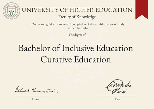 Bachelor of Inclusive Education Curative Education (BIECE) program/course/degree certificate example