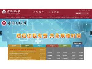 Anhui Polytechnic University's Website Screenshot