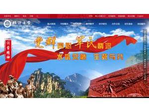 Linyi University's Website Screenshot